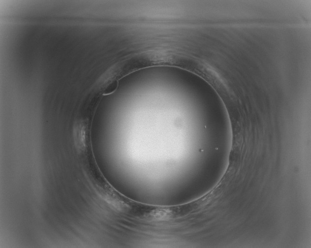 X0000073420124200608041034