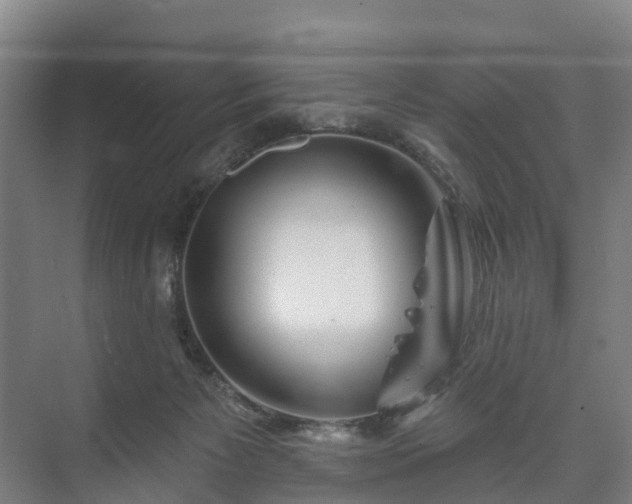 X0000073420125200608041034