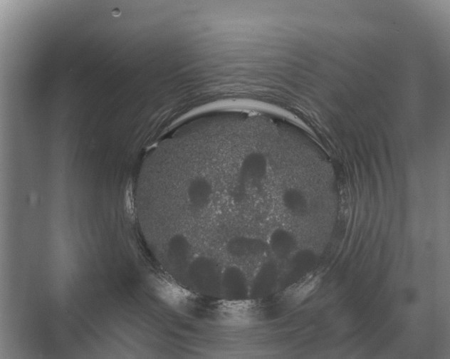 X0000073420143200608041034