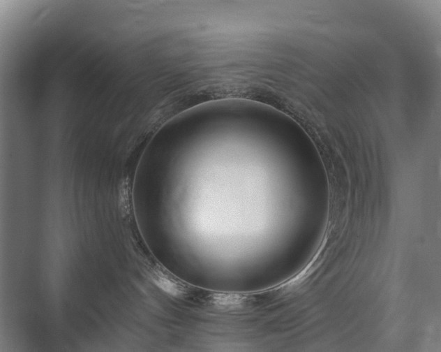 X0000073420144200608041034