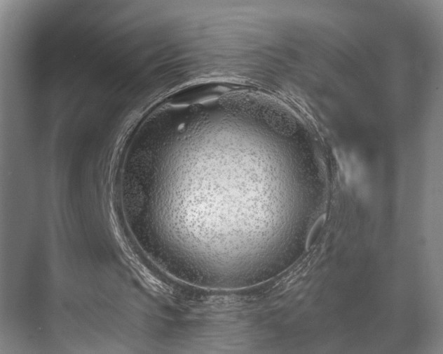 X0000073420145200608041033