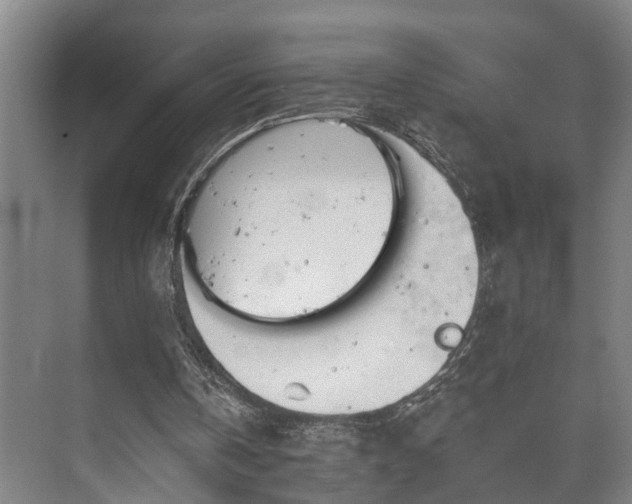 X0000073420146200608041033