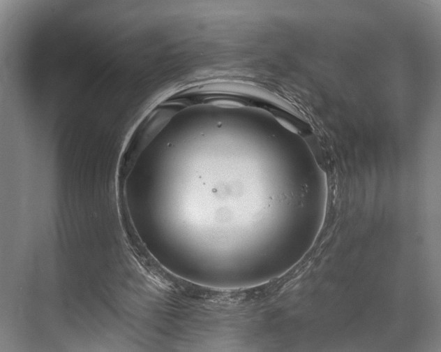 X0000073420148200608041033