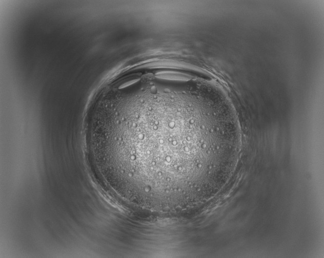 X0000073420149200608041033