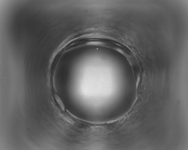 X0000073420150200608041033