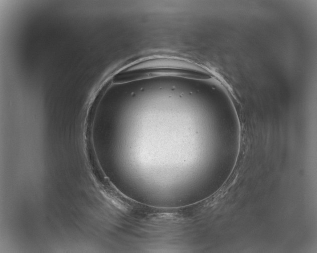 X0000073420151200608041033