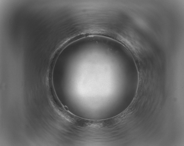 X0000073420155200608041033