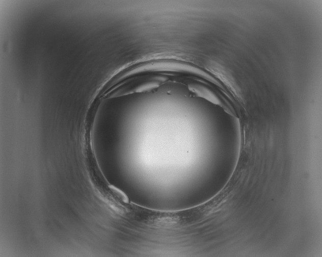 X0000073420156200608041033