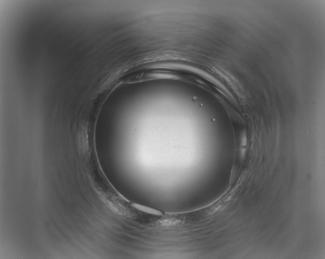 X0000073420158200608041033