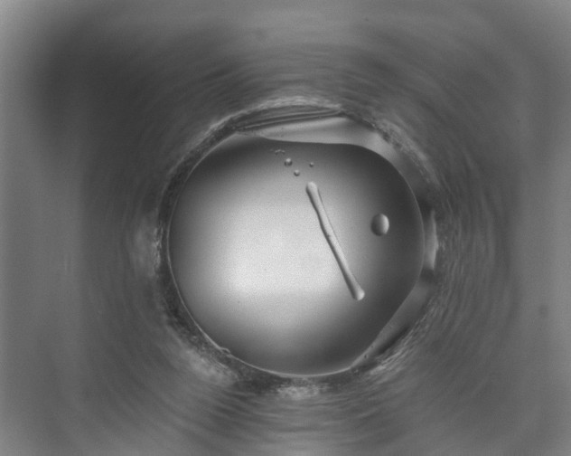 X0000073420160200608041033