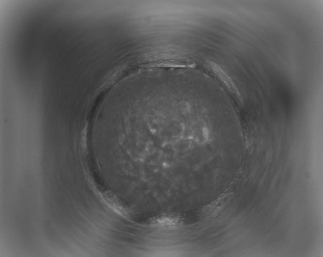 X0000073420163200608041033