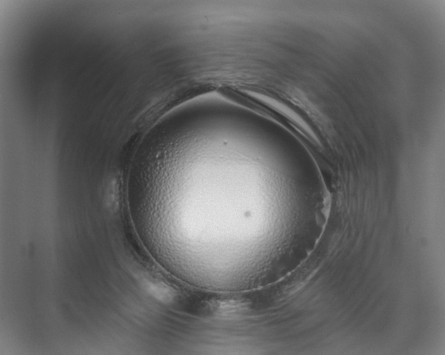 X0000073420165200608041033