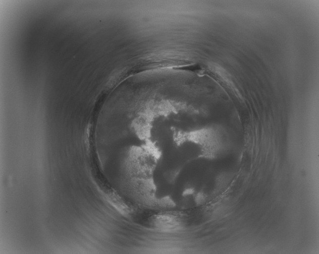 X0000073420167200608041033