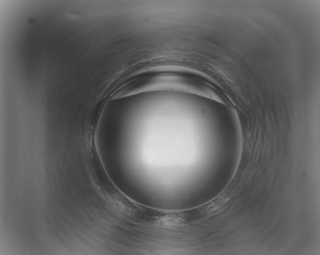 X0000073420168200608041033