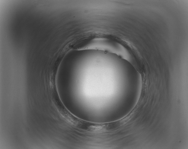 X0000073420170200608041033