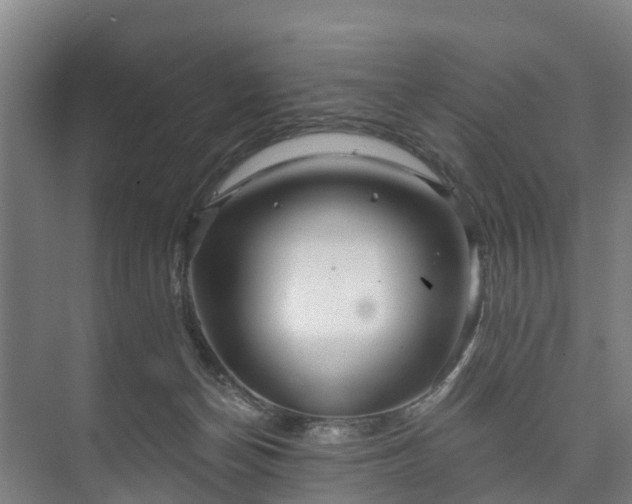 X0000073420174200608041033