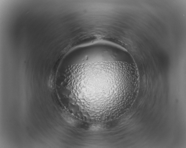 X0000073420177200608041034