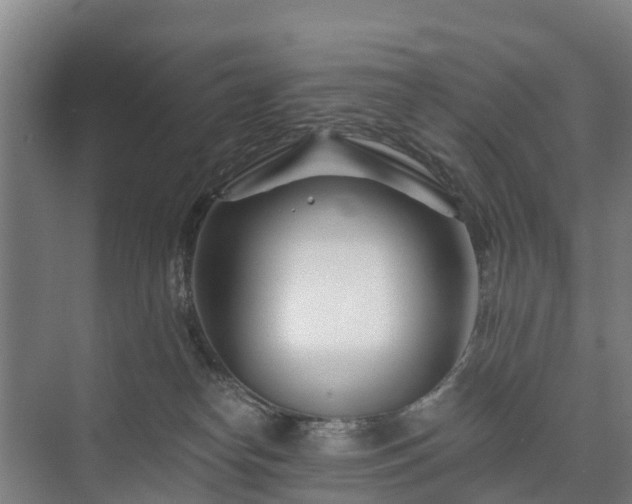 X0000073420182200608041034