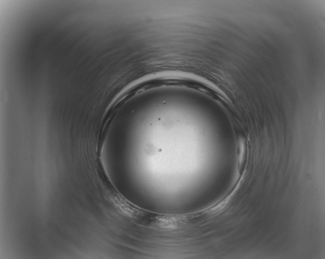 X0000073420190200608041034