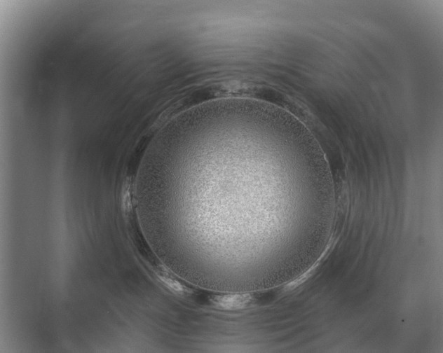 X0000073420191200608041034