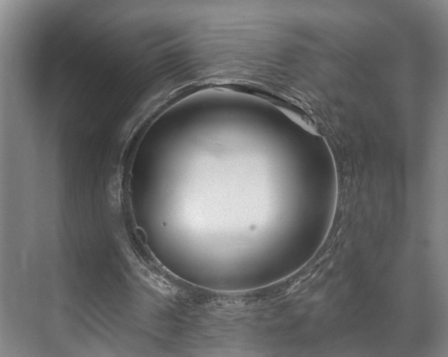 X0000073420194200608041033