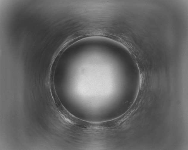 X0000073420195200608041033