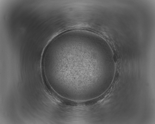 X0000073420196200608041033