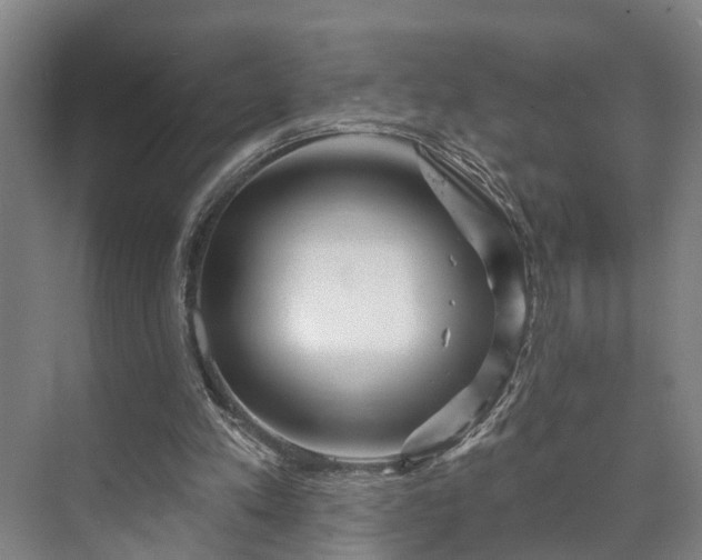 X0000073420197200608041033