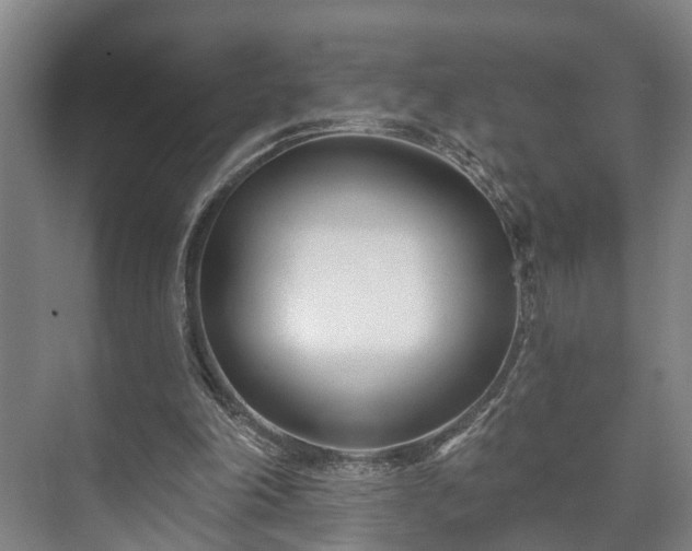 X0000073420198200608041033