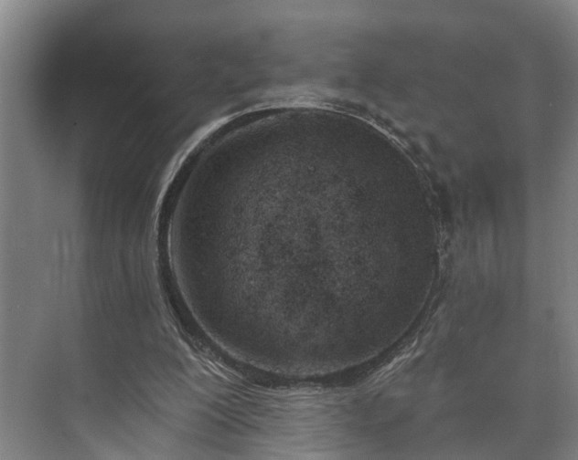 X0000073420200200608041033