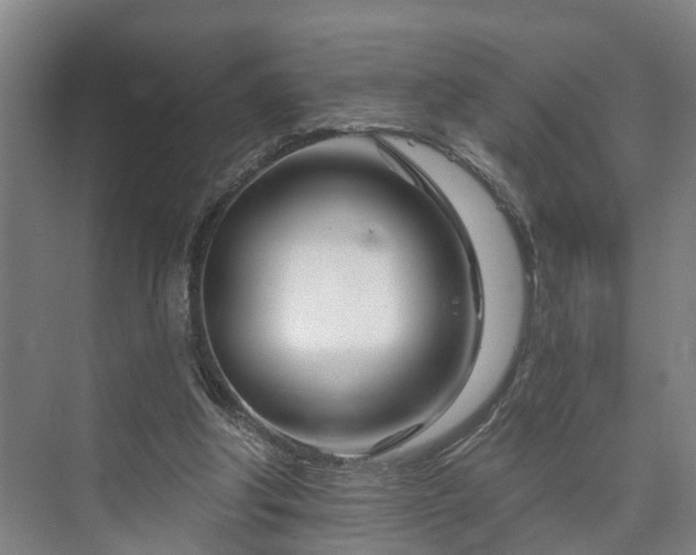 X0000073420202200608041033