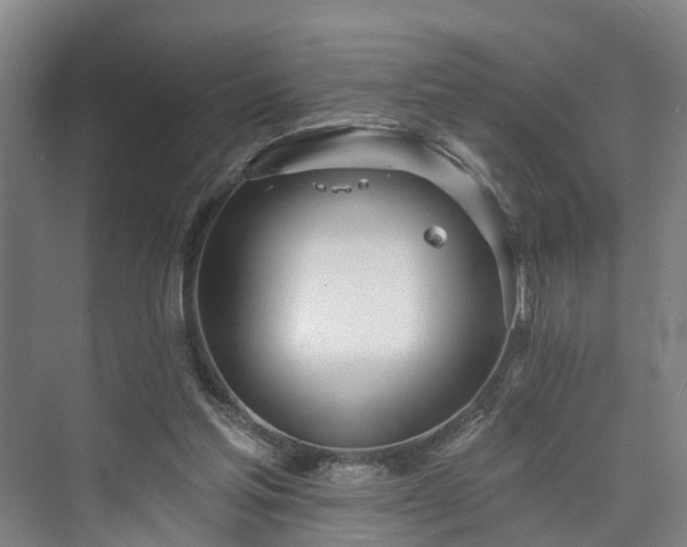 X0000073420205200608041033