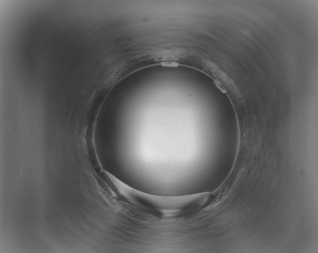 X0000073420209200608041033