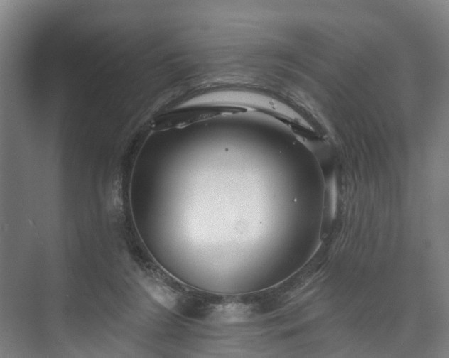 X0000073420212200608041033