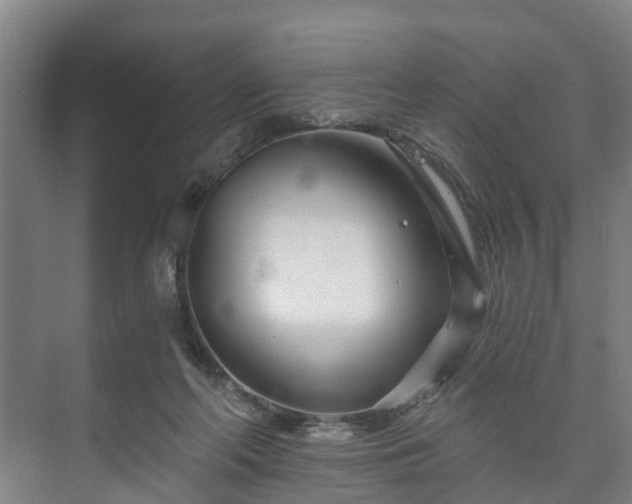 X0000073420214200608041033