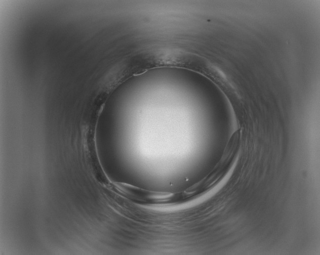 X0000073420217200608041033