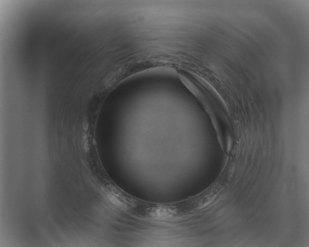 X0000073420223200608041032