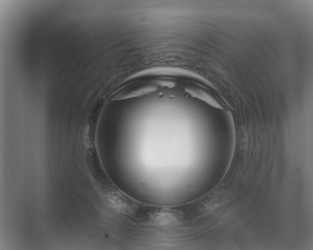 X0000073420224200608041032