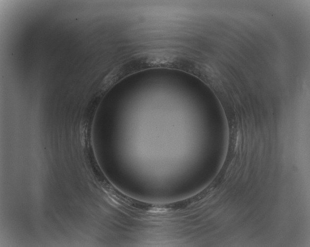 X0000073420227200608041032