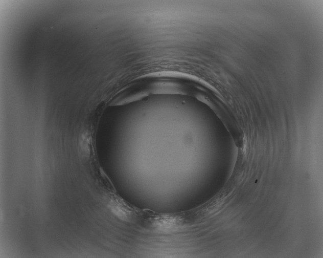 X0000073420235200608041032