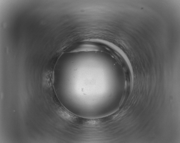 X0000073420237200608041032