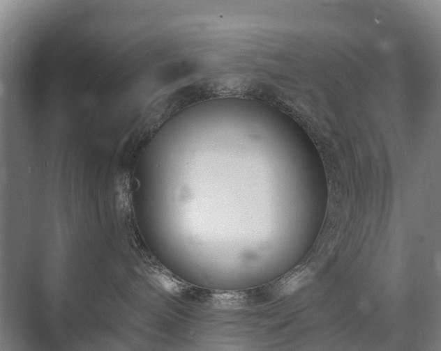 X0000073420240200608041032