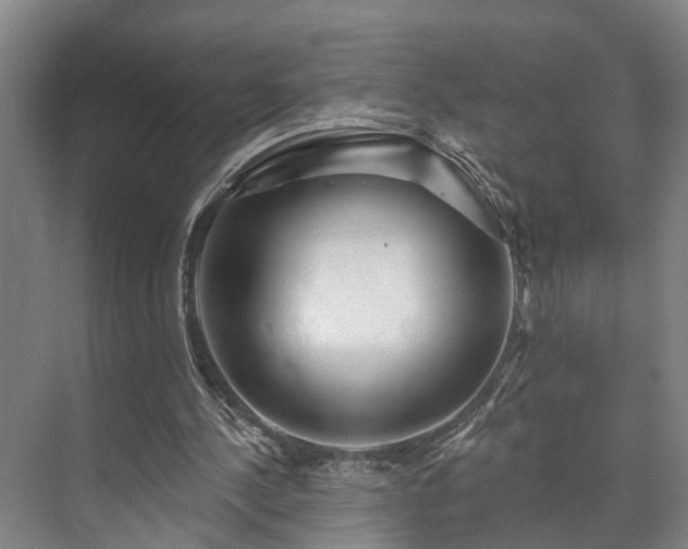 X0000073420244200608041031