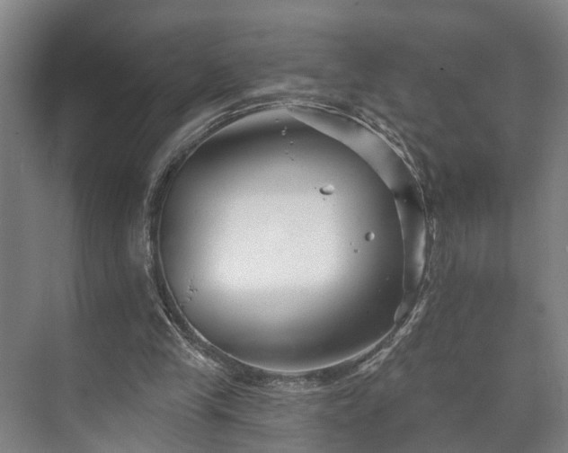 X0000073420245200608041031