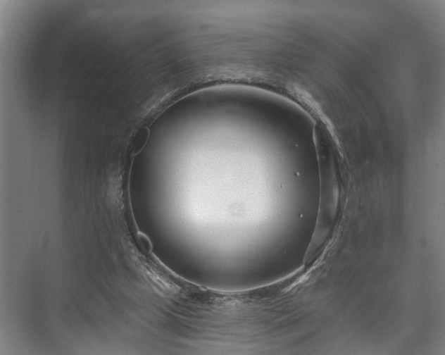 X0000073420249200608041032