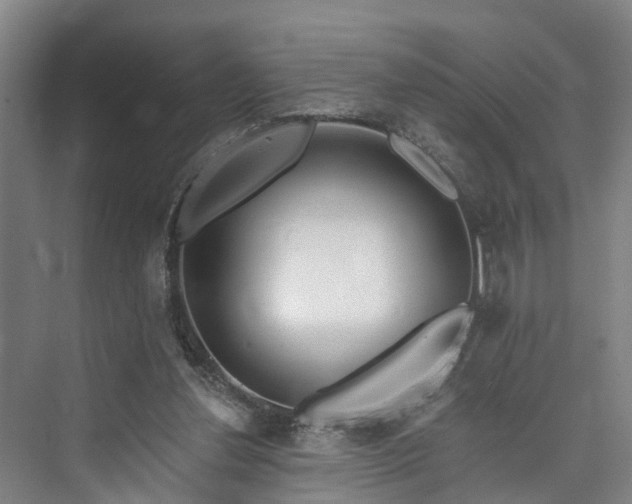 X0000073420252200608041032