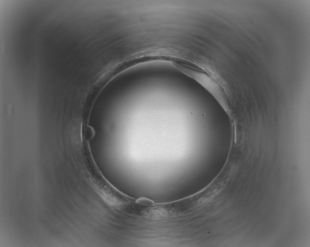 X0000073420253200608041032