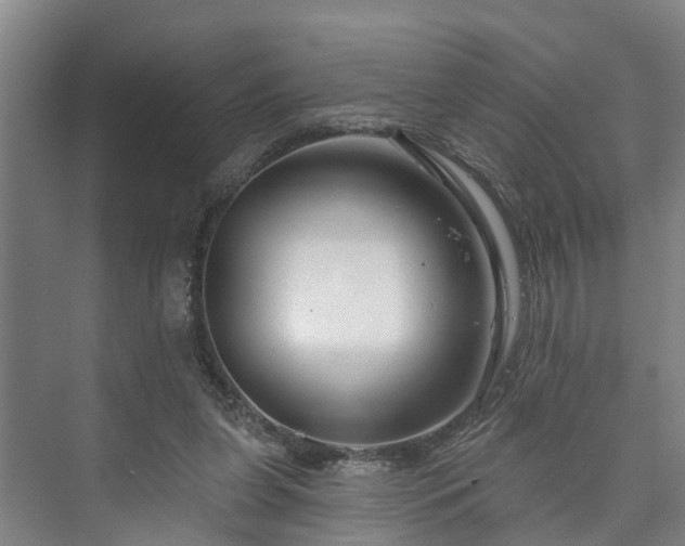 X0000073420255200608041032