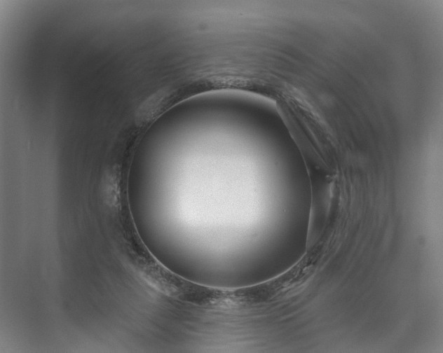 X0000073420259200608041032