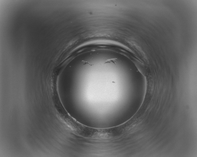 X0000073420260200608041032